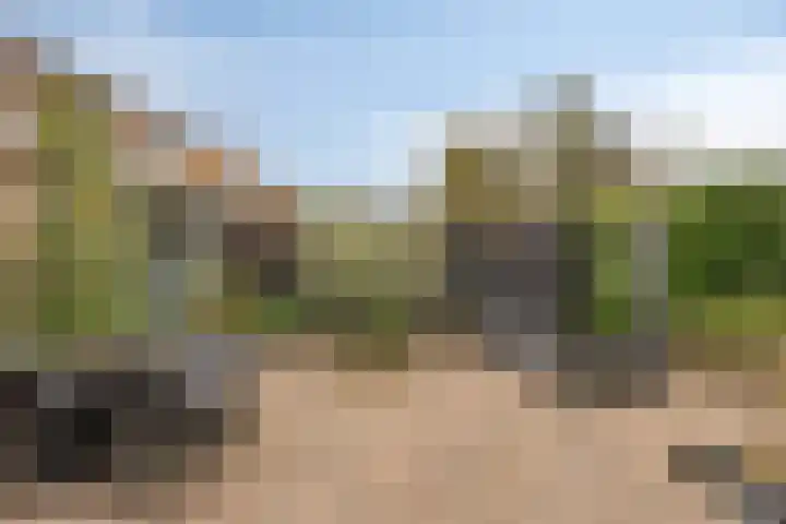 Koningin Julianalaan 53 Zutphen thumbnail 33
