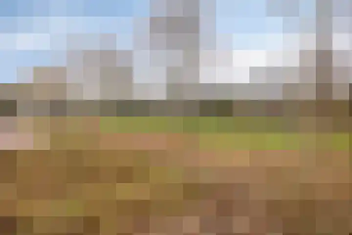 Koningin Julianalaan 53 Zutphen thumbnail 35