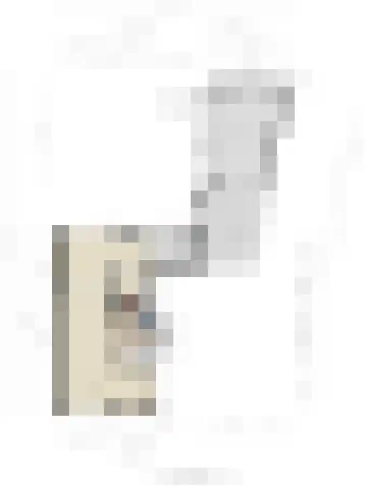 Koningin Julianalaan 53 Zutphen thumbnail 42