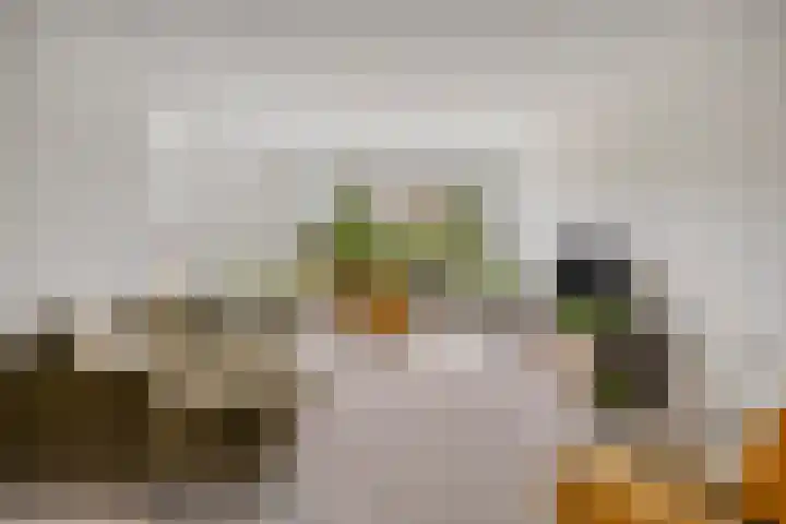 Koningin Julianalaan 53 Zutphen thumbnail 8
