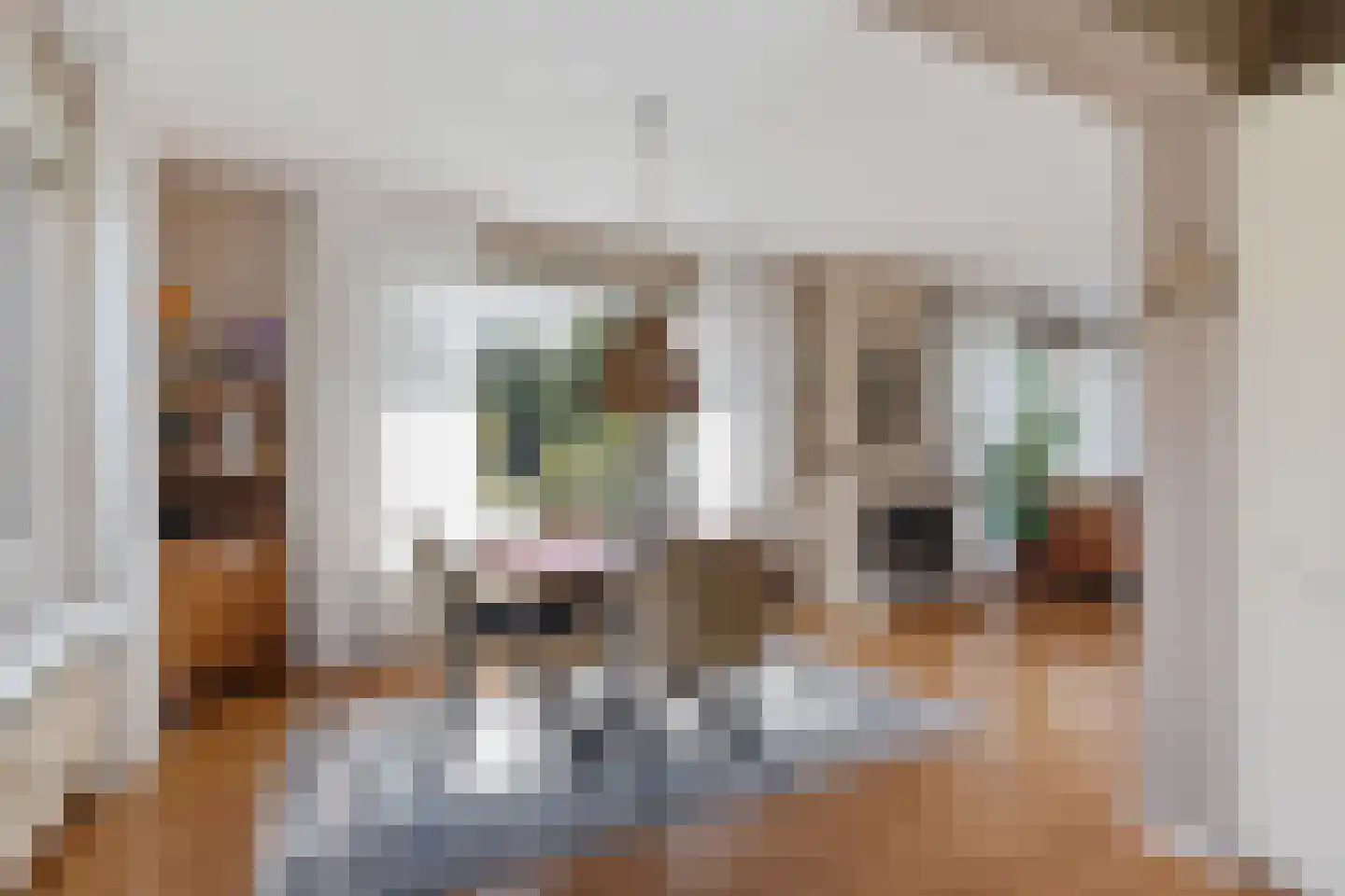Koningin Julianalaan 59 Voorburg thumbnail 19