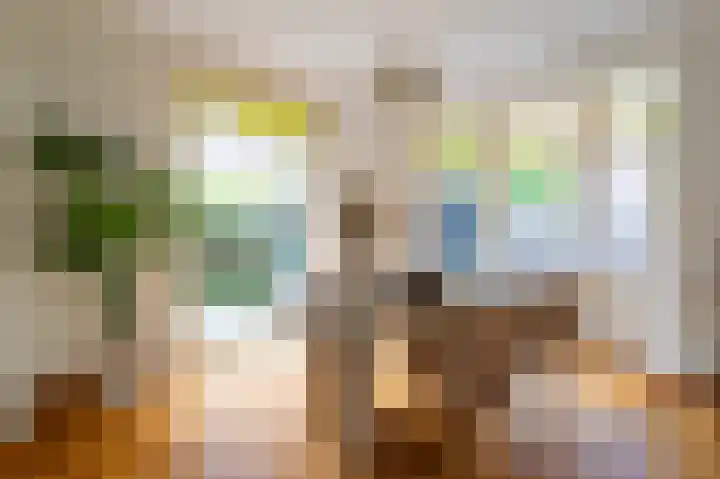 Koningin Julianalaan 6 Voorburg thumbnail 10