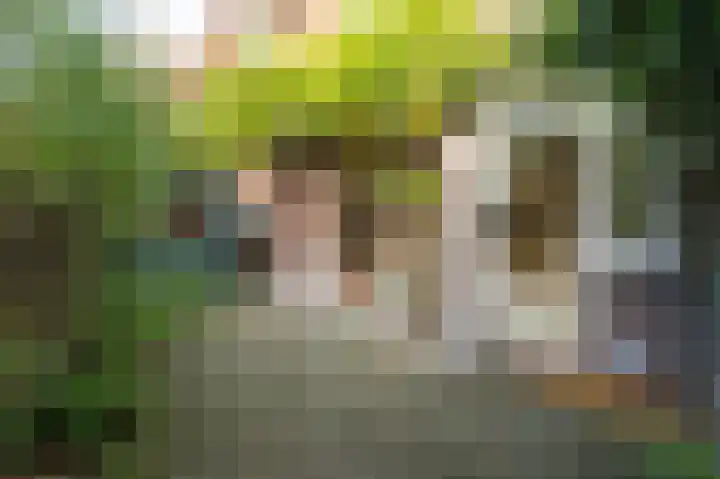 Koningin Julianalaan 6 Voorburg thumbnail 11
