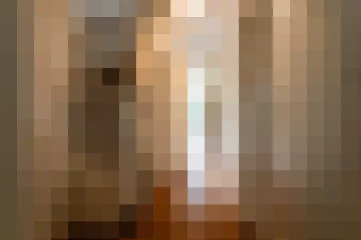 Koningin Julianalaan 6 Voorburg thumbnail 13