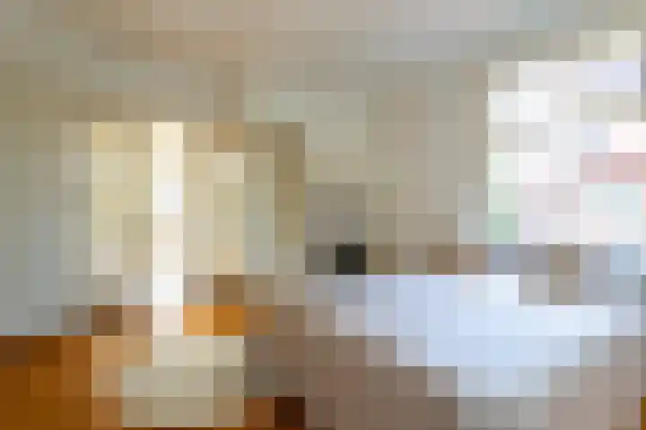 Koningin Julianalaan 6 Voorburg thumbnail 26