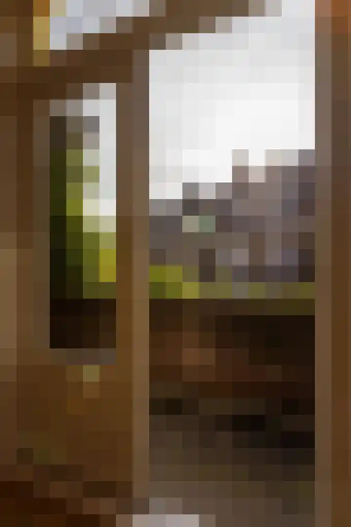 Koningin Julianalaan 6 Voorburg thumbnail 33