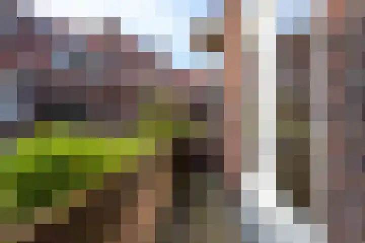 Koningin Julianalaan 6 Voorburg thumbnail 34