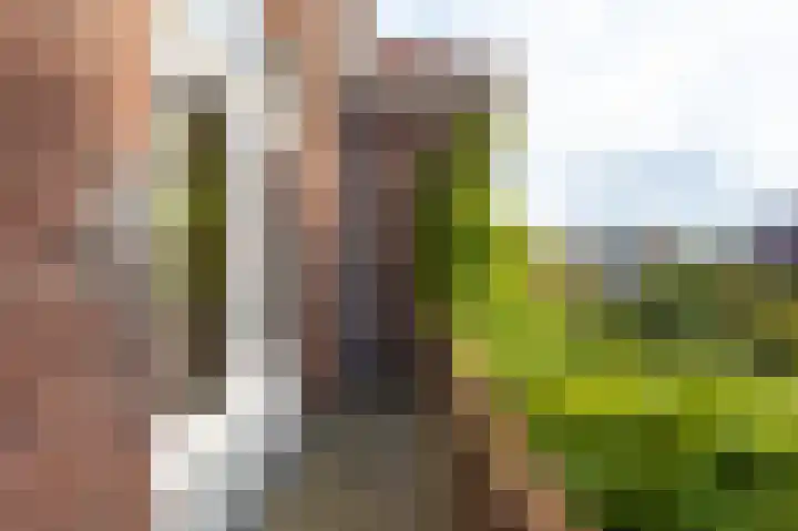 Koningin Julianalaan 6 Voorburg thumbnail 35