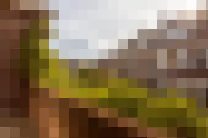 Koningin Julianalaan 6 Voorburg thumbnail 36