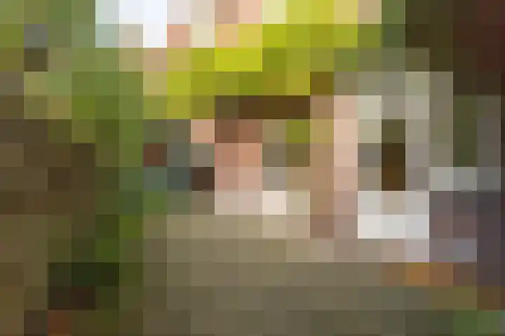 Koningin Julianalaan 6 Voorburg thumbnail 4