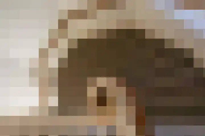 Koningin Julianalaan 6 Voorburg thumbnail 58