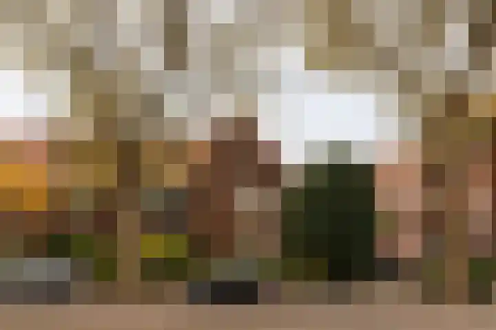 Koningin Julianalaan 6 Voorburg thumbnail 59