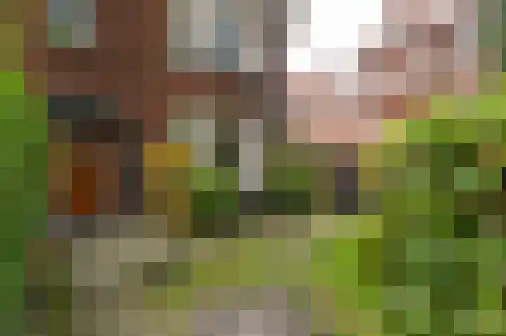 Koningin Julianalaan 6 Voorburg thumbnail 62