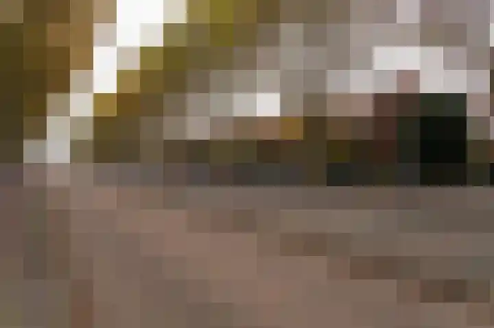Koningin Julianalaan 6 Voorburg thumbnail 63