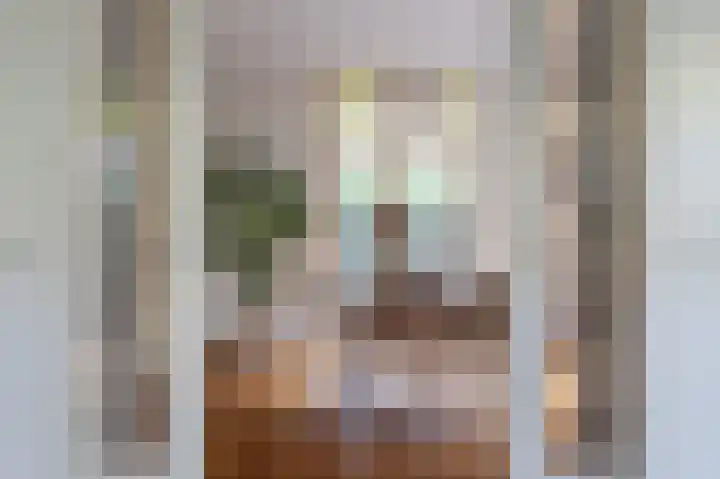 Koningin Julianalaan 6 Voorburg thumbnail 7