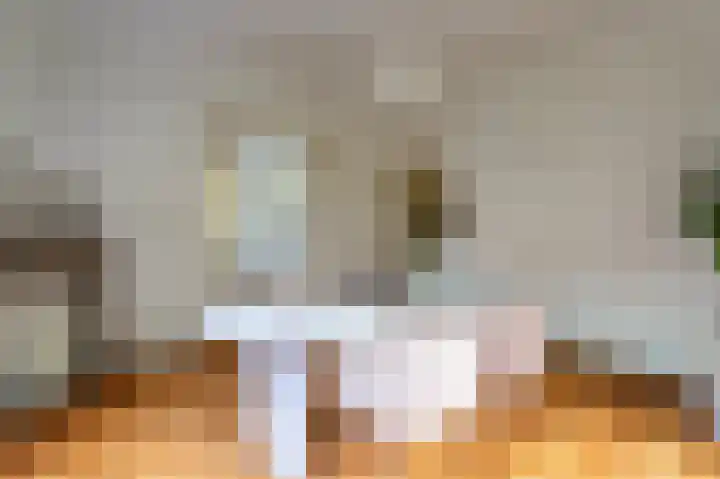 Koningin Julianalaan 6 Voorburg thumbnail 9