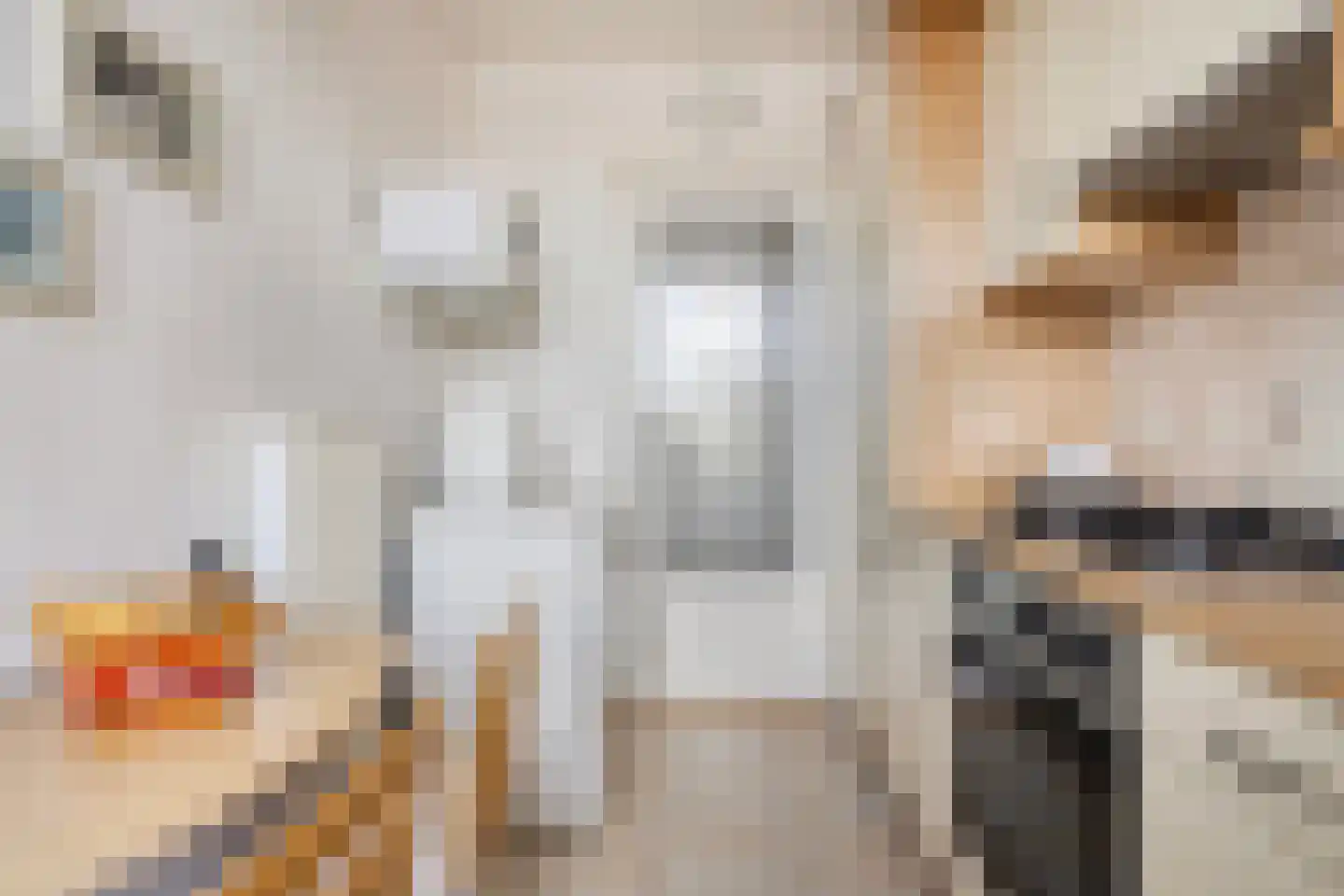 Koningin Julianalaan 61 B Delfzijl thumbnail 30