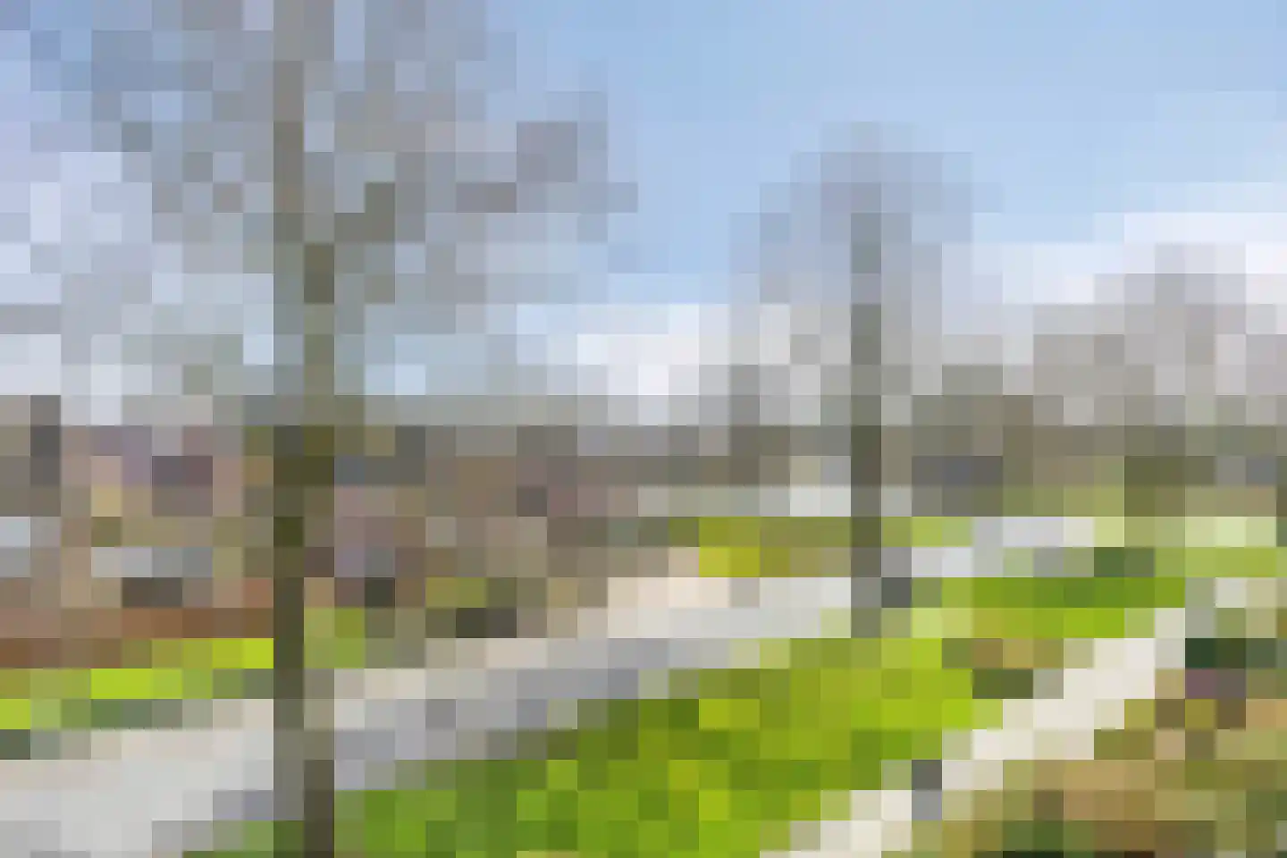 Koningin Julianalaan 61 B Delfzijl thumbnail 47