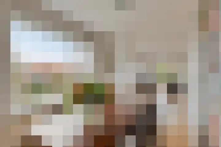 Koningin Julianalaan 61 Voorburg thumbnail 17