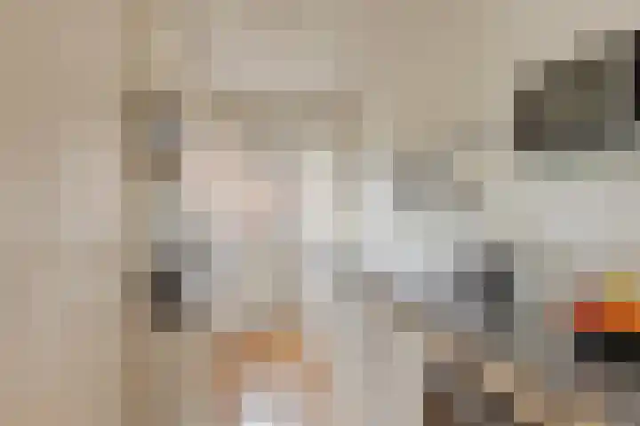 Koningin Julianalaan 61 Voorburg thumbnail 18