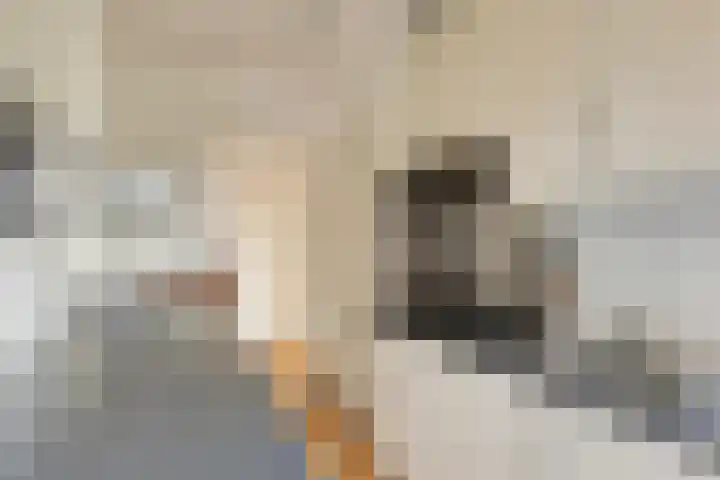 Koningin Julianalaan 61 Voorburg thumbnail 19