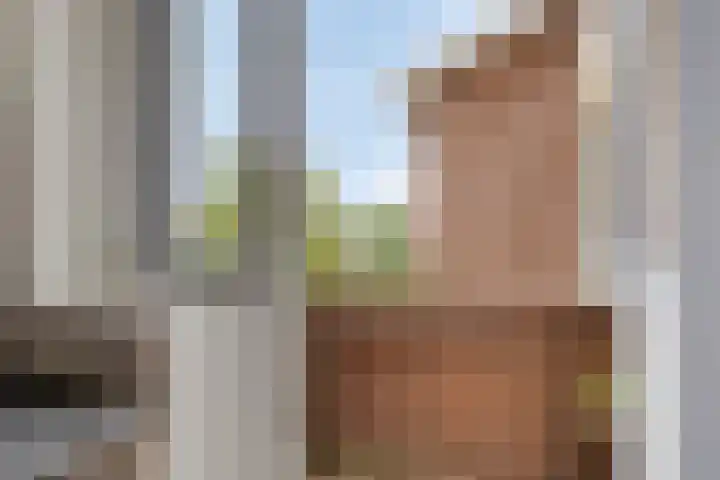 Koningin Julianalaan 61 Voorburg thumbnail 20