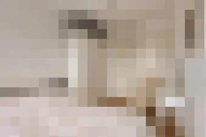 Koningin Julianalaan 61 Voorburg thumbnail 23