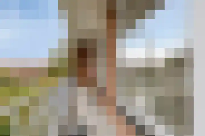 Koningin Julianalaan 61 Voorburg thumbnail 29