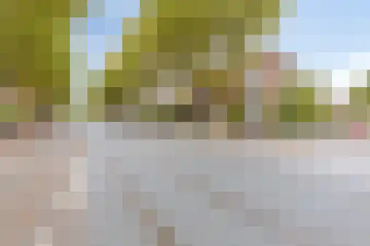 Koningin Julianalaan 61 Voorburg thumbnail 31