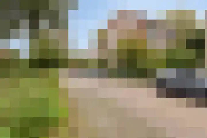 Koningin Julianalaan 61 Voorburg thumbnail 32