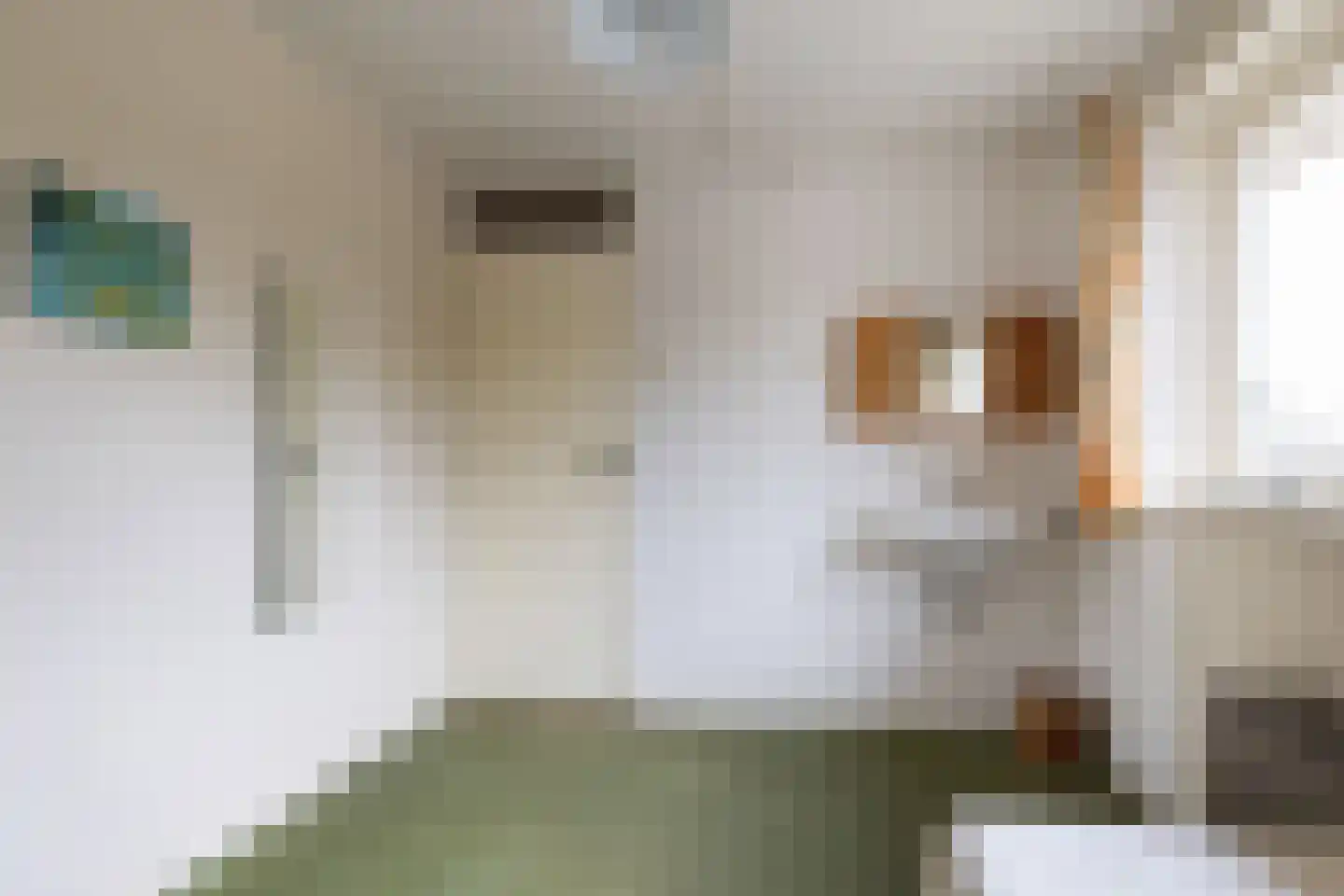 Koningin Julianalaan 66 Maartensdijk thumbnail 25