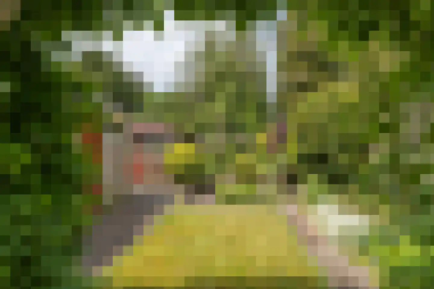 Koningin Julianalaan 66 Maartensdijk thumbnail 32