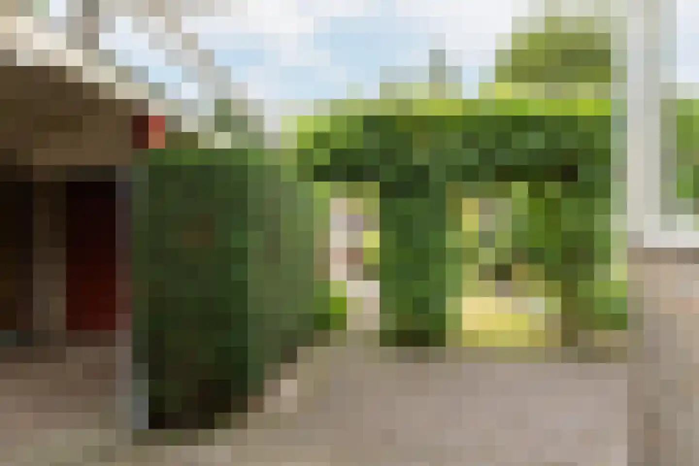 Koningin Julianalaan 66 Maartensdijk thumbnail 33
