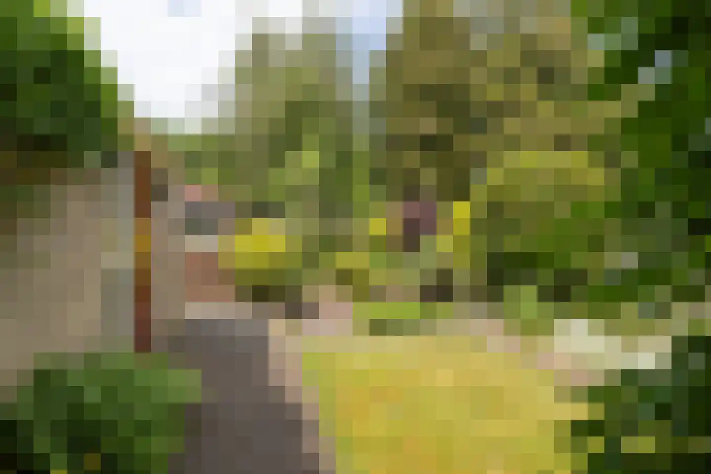 Koningin Julianalaan 66 Maartensdijk thumbnail 34