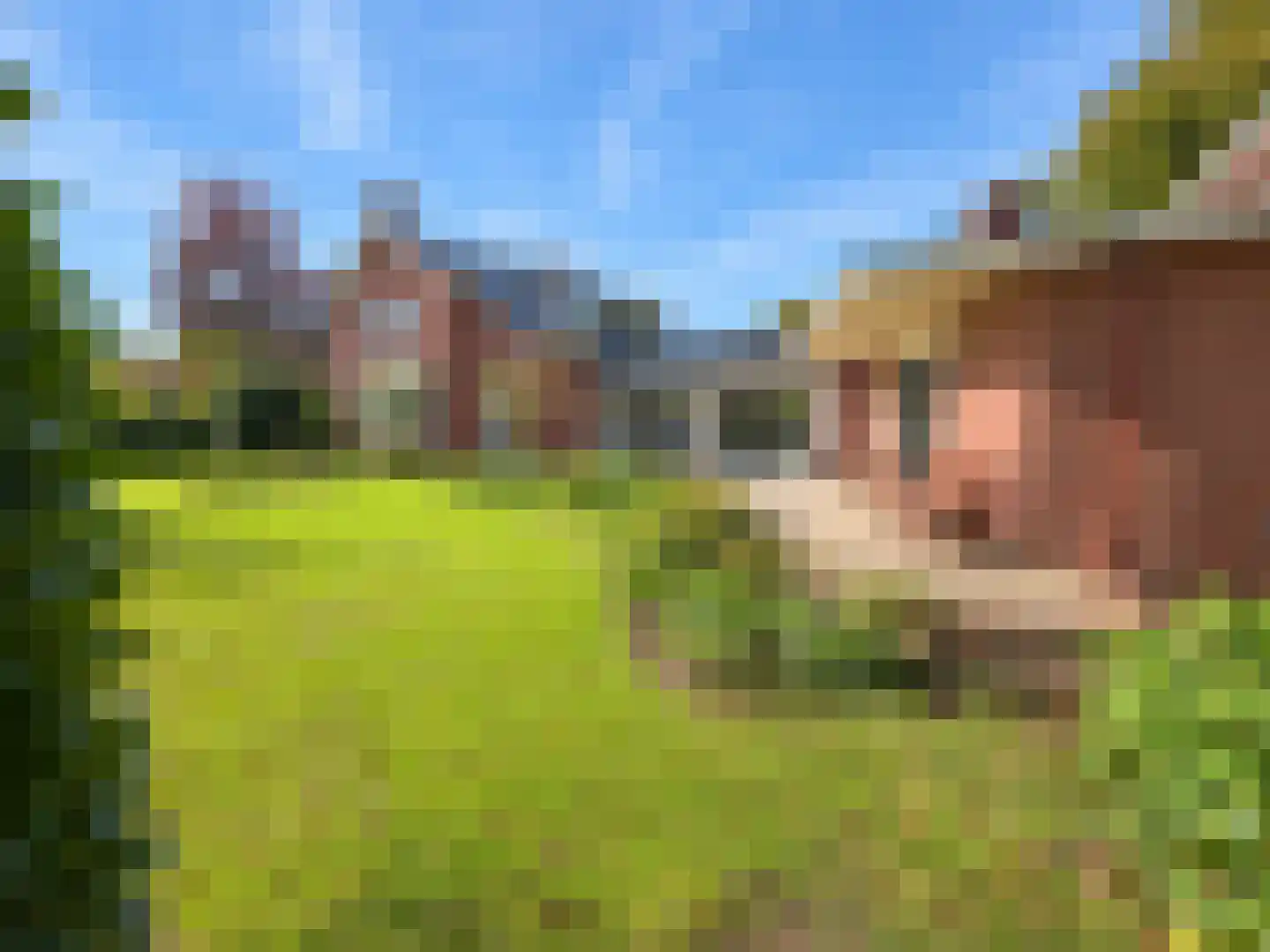 Koningin Julianalaan 7 Olst thumbnail 36