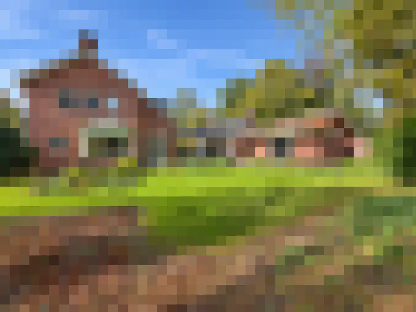 Koningin Julianalaan 7 Olst thumbnail 38