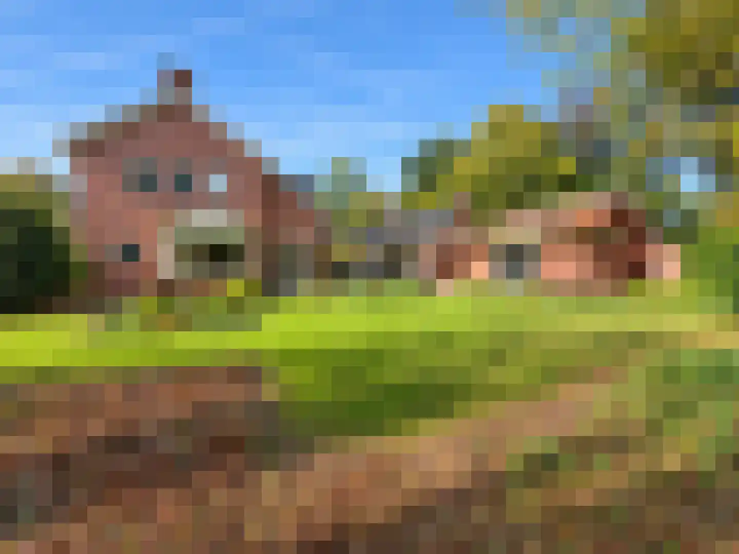 Koningin Julianalaan 7 Olst thumbnail 43