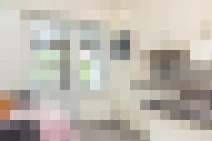 Koningin Julianalaan 7 Valkenburg thumbnail 12