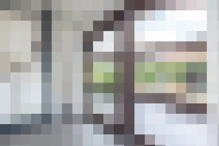 Koningin Julianalaan 7 Valkenburg thumbnail 16