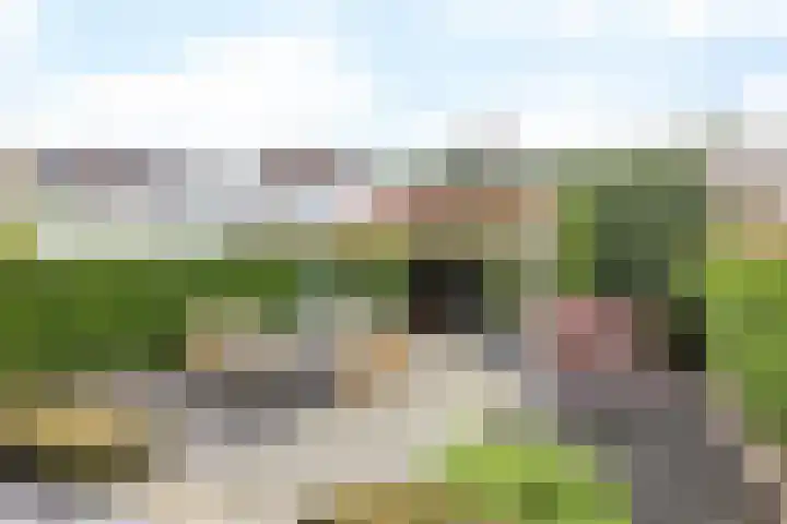 Koningin Julianalaan 7 Valkenburg thumbnail 27