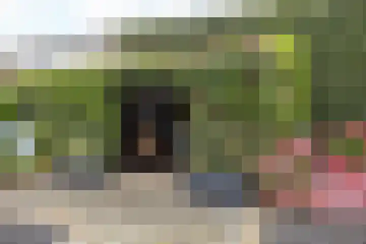 Koningin Julianalaan 7 Valkenburg thumbnail 29