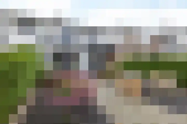 Koningin Julianalaan 7 Valkenburg thumbnail 30