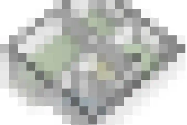 Koningin Julianalaan 7 Valkenburg thumbnail 45