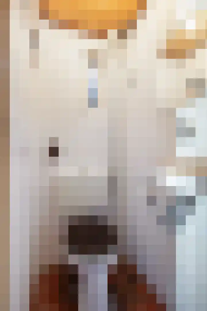 Koningin Julianalaan 8 Dieren thumbnail 21