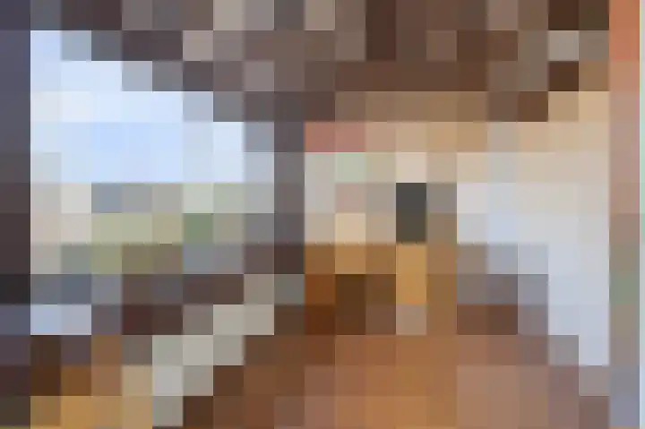 Koningin Julianalaan 8 Dieren thumbnail 34