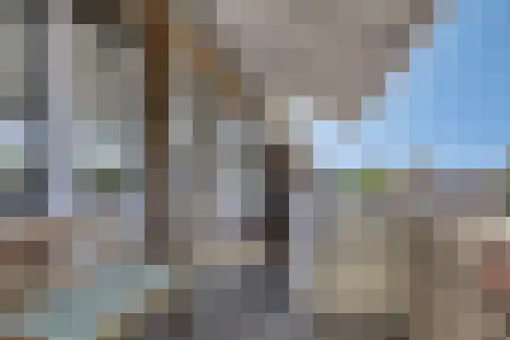 Koningin Julianalaan 80 Voorburg thumbnail 17
