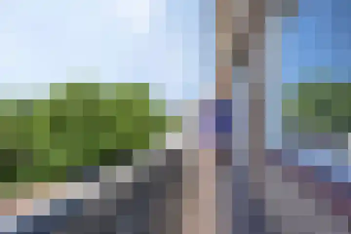 Koningin Julianalaan 80 Voorburg thumbnail 19