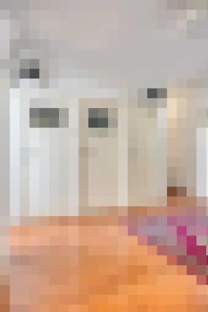 Koningin Julianalaan 80 Voorburg thumbnail 27