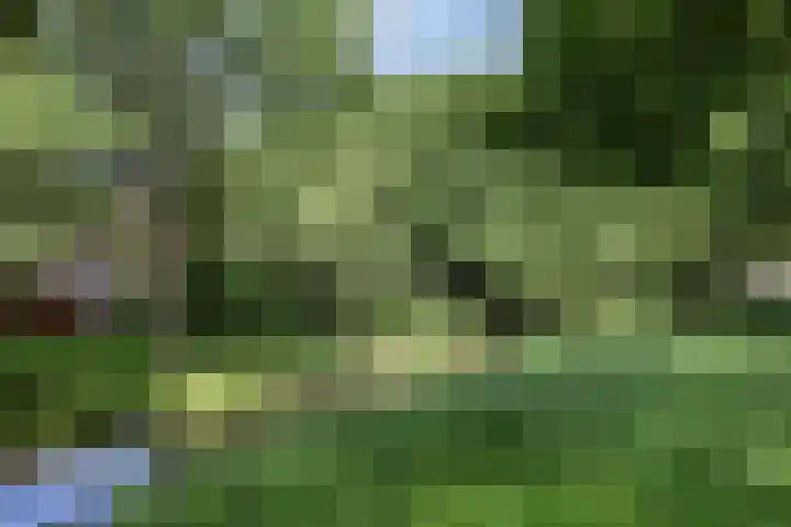 Koningin Julianalaan 80 Voorburg thumbnail 40