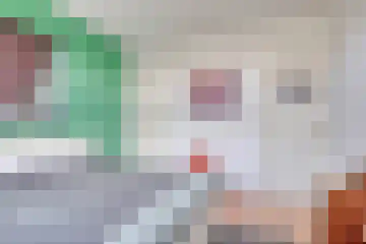 Koningin Julianalaan 80 Voorburg thumbnail 6
